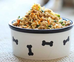 Cheap Healthy Pet Foods