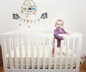 Choosing a baby crib is one of the most important decisions you'll ever have!