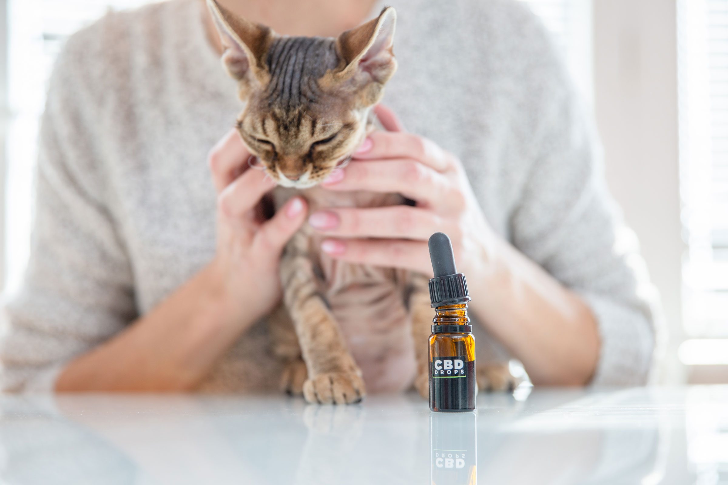 hemp oil for cats